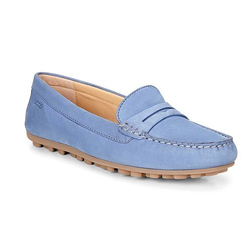 ecco devine moc