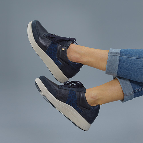 Strive Stellar Trainer