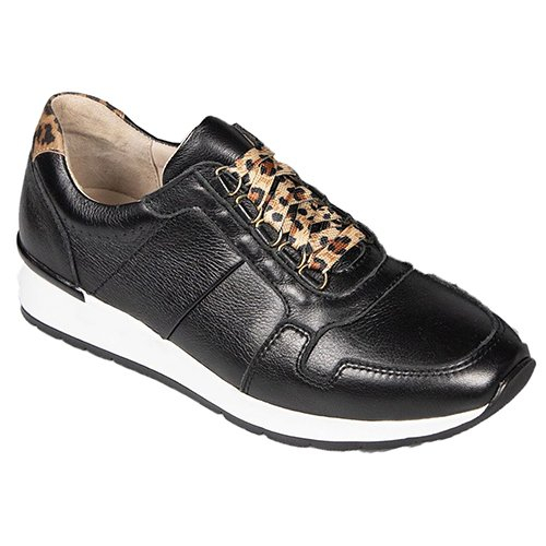 Van dal top trainers