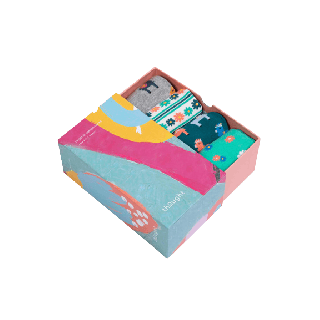 Thought Maria GOTS Organic Cotton Llama Sock Box Multi UK 4-7