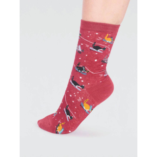 Thought Amaryllis GOTS Organic Cotton Skiing Cat Sock Brick Red 4-7UK