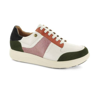 Strive Stellar Trainer