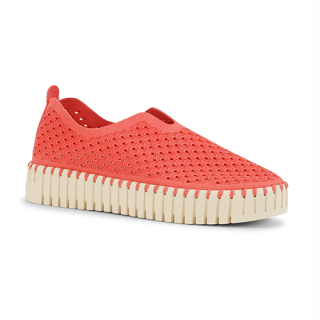 Ilse Jacobsen Tulip Platform