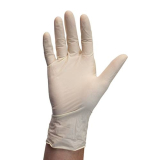 Latex Powder Free Gloves White (100) Large